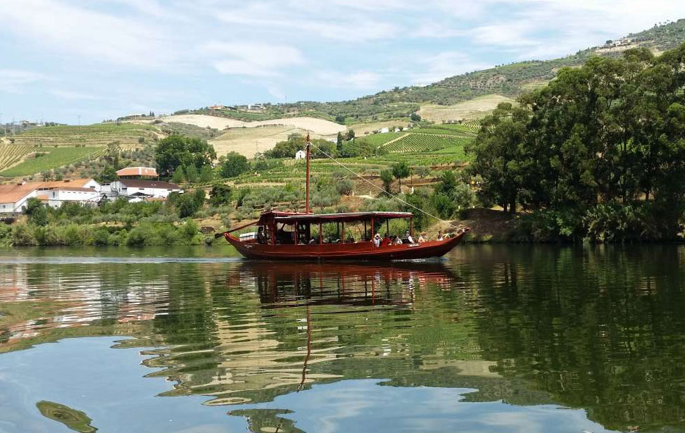 Douro Valley Tour: 2 Vineyard Visits, River Cruise, Winery Lunch