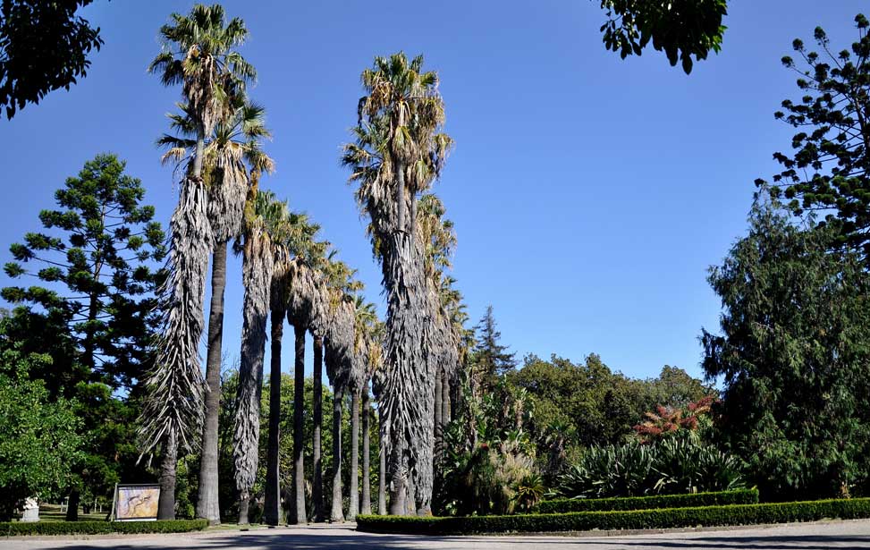 Jardim Botânico Tropical (Tropical Botanic Gardens)