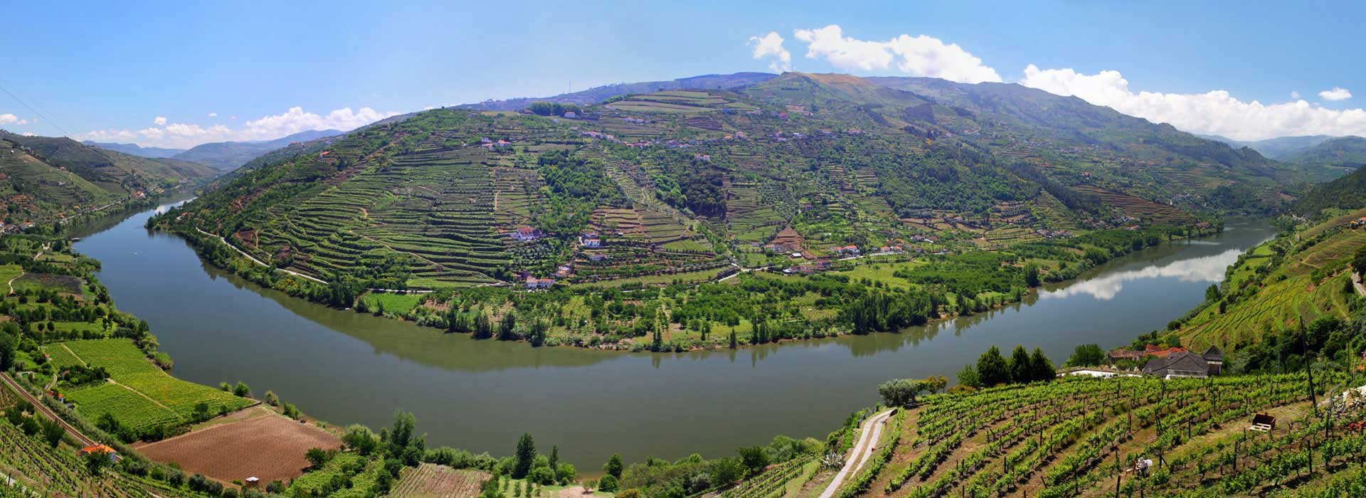 Douro Valley & Vila Real