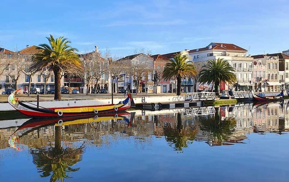 Aveiro and Coimbra small-group full-day tour
