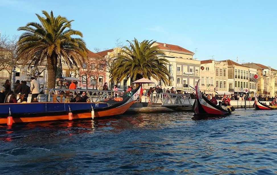 Aveiro and Coimbra small-group full-day tour