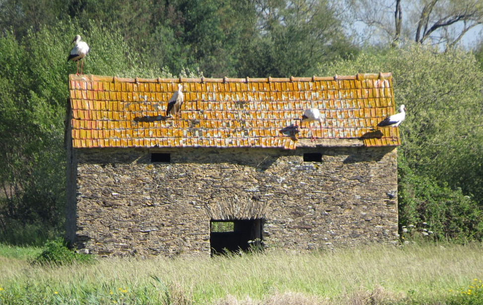 BioRia Nature Reserve