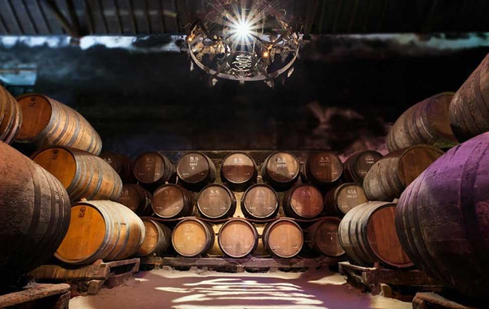Setúbal Peninsula Private Wine Tour: Sesimbra, Azeitão and Arrábida