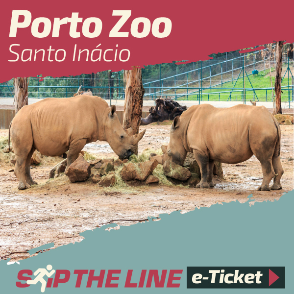 Zoo Santo Inácio skip the line entrance ticket